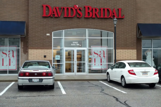 David’s Bridal: A Closer Look
